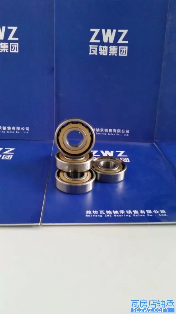 配對角接觸球軸承 7313ACM/DB配對角接觸球軸承